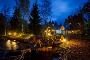 Viikingite küla in Saula